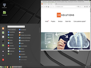Cinnamon Linux Mint 19 Tara Cinnamon